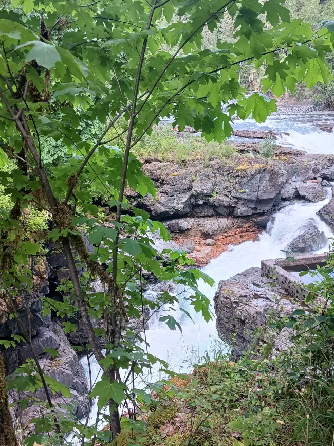 Stamp Falls entering the Canyon north of Port Alberni